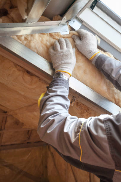 Best Insulation for New Construction  in Austin, AR