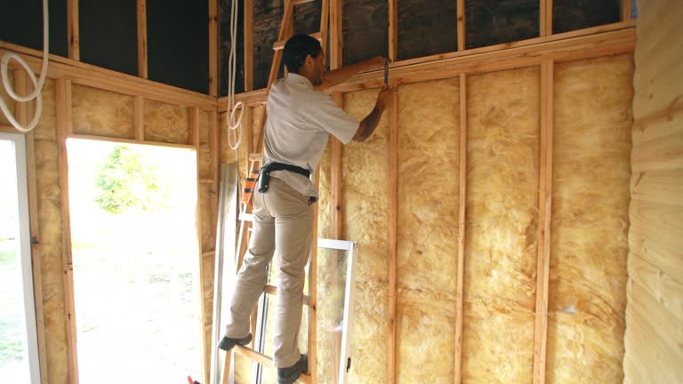 Best Blown-In Insulation  in Austin, AR